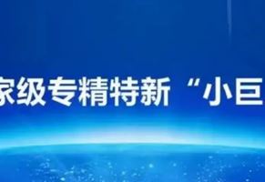 我司榮獲國家級專精特新“小巨人”企業(yè)榮譽