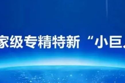 我司榮獲國(guó)家級(jí)專精特新“小巨人”企業(yè)榮譽(yù)